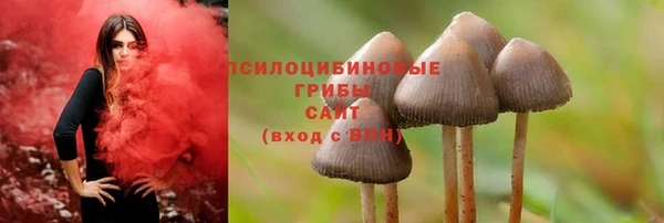соль курить ск Гусиноозёрск