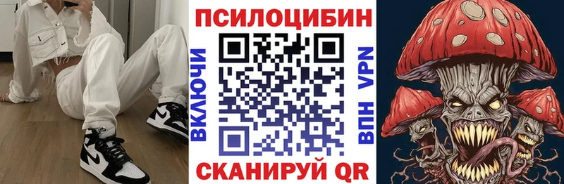 Псилоцибиновые грибы Cubensis  KRAKEN   Каменск-Уральский 